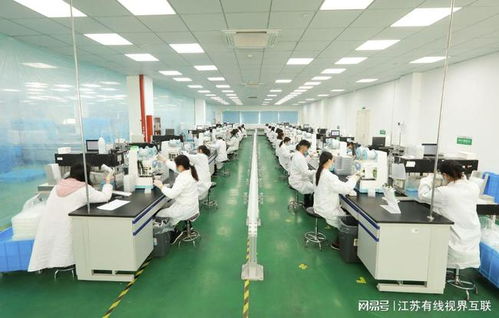 砥礪前行 打造生物醫(yī)藥民族品牌，引領(lǐng)技術(shù)研發(fā)與轉(zhuǎn)讓新篇章