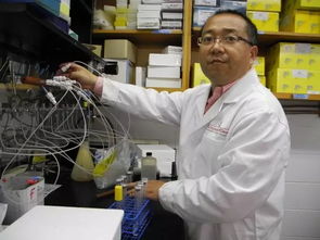 科技賦能，古樹新生 姜明國與生物科技讓六堡茶煥發(fā)青春